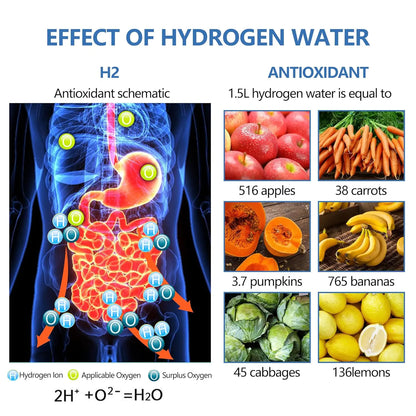 Fiudiry Hydrogen Water Generator Bottle